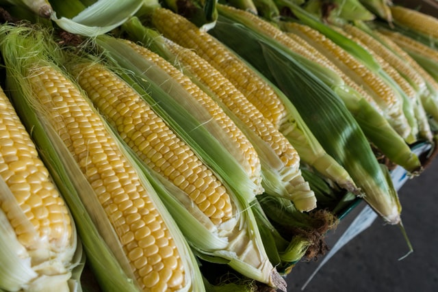 How long do you boil corn?